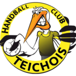 ISO&FACE partenaire du handball club du Teich
